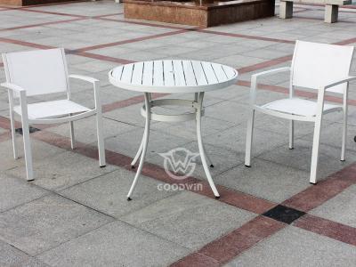 Juego de sillas de ocio de madera de PVC con marco de aluminio
